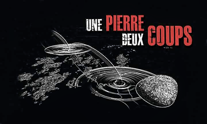 Une Pierre Deux Coups LOGO