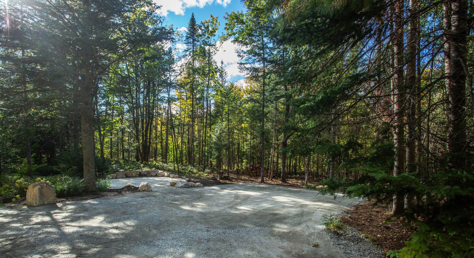 Un chemin de terre au milieu d'une forêt entourée d'arbres.