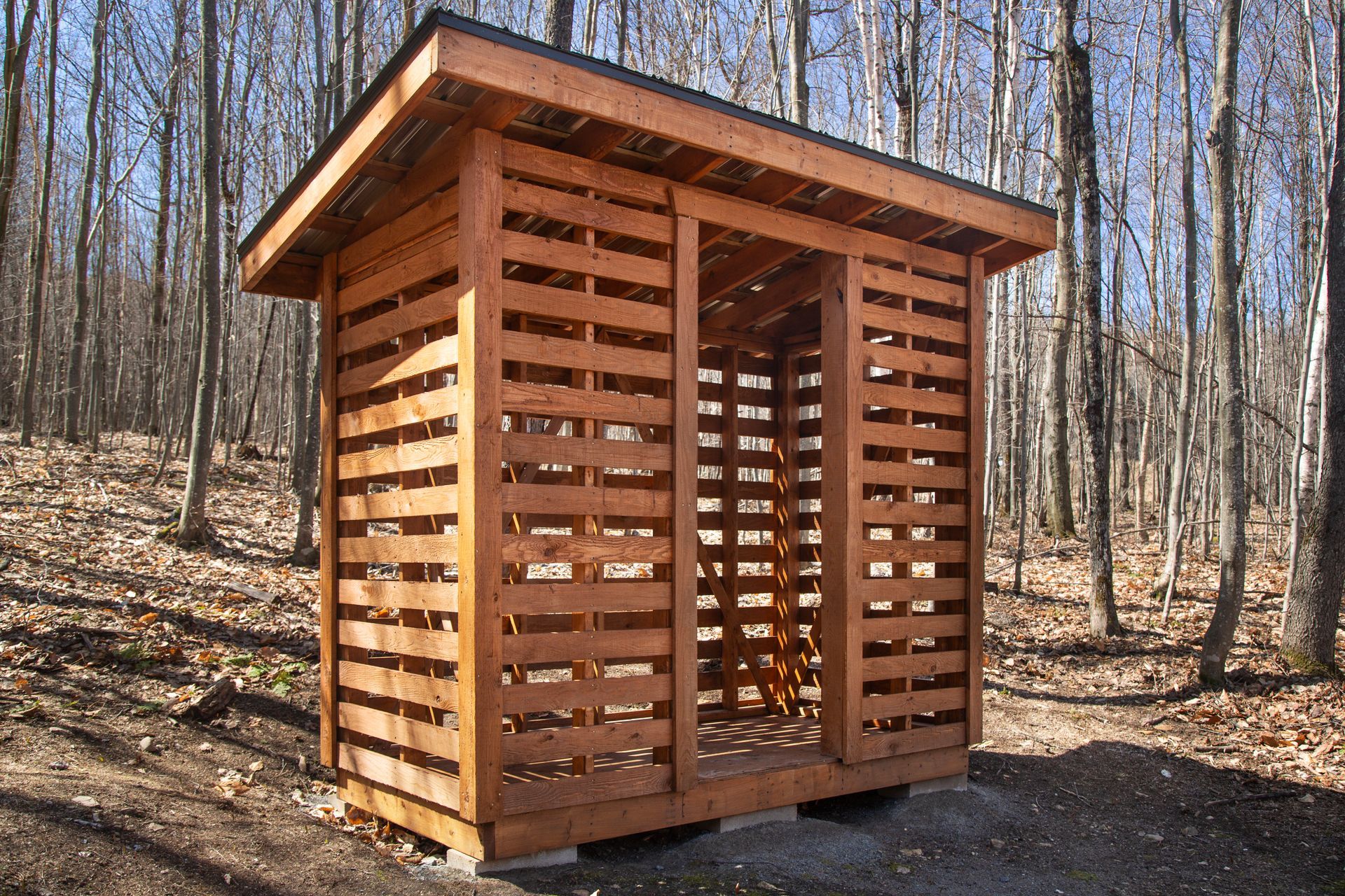Un petit hangar en bois au milieu d'une forêt