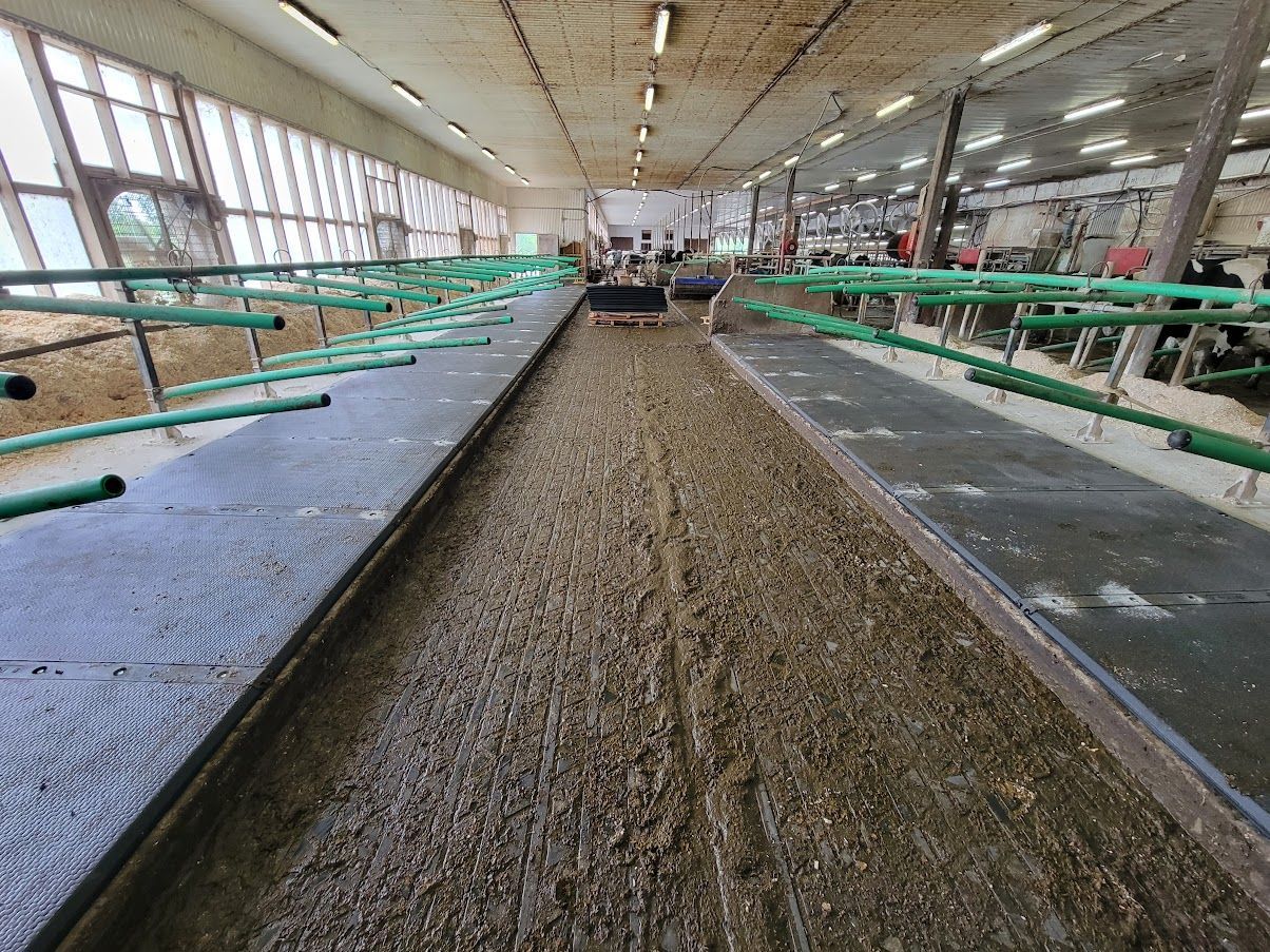 À l'intérieur d'une grange : longues rangées de mangeoires et de stalles, espace central avec terre et fumier. Barres de soutien vertes et surfaces sombres.