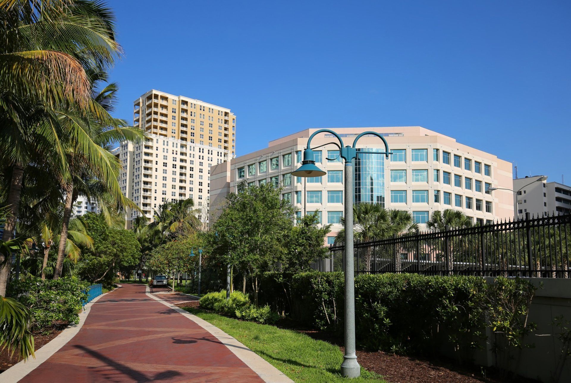 Beautiful Walkway With Trees