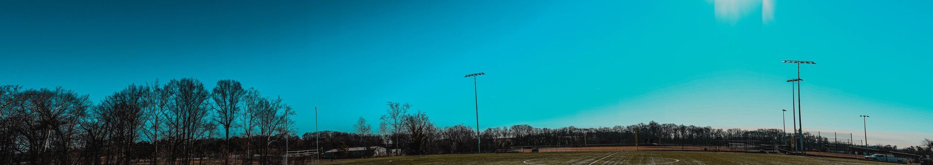An abstract landscape with a blue sky, trees, and tall poles, all blurred vertically.