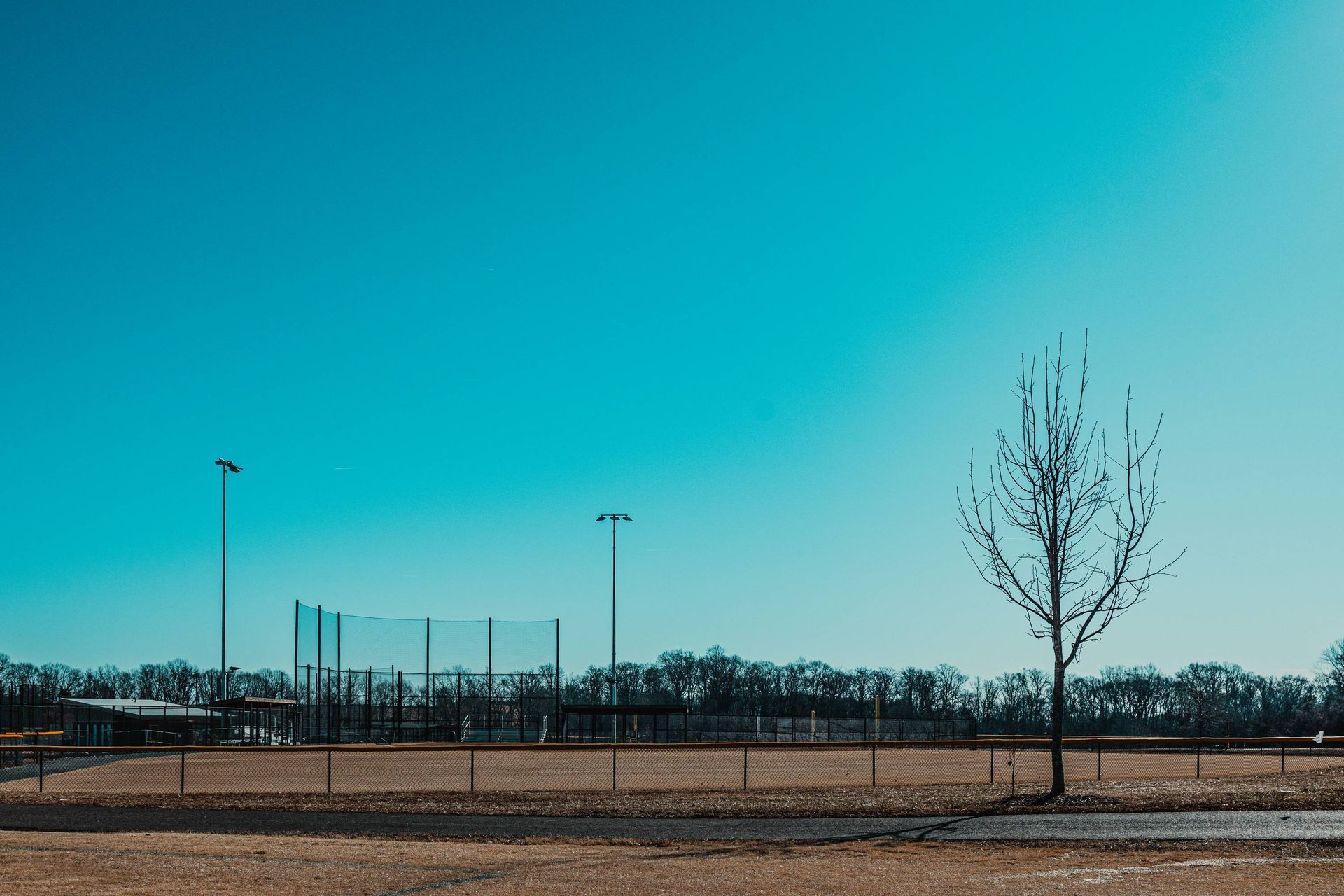 Open field with a baseball backstop and a bare tree under a clear, blue sky.