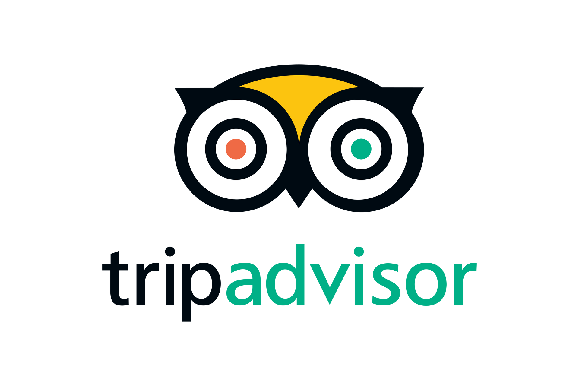 TripAdvisor logo: Owl icon above