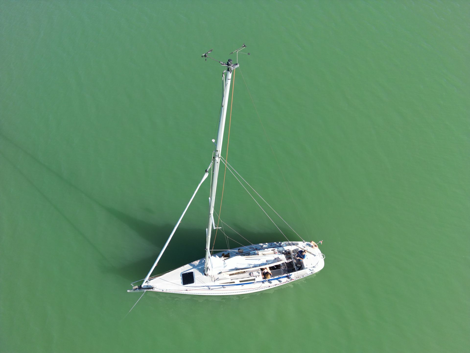 Jackpot the sailboat