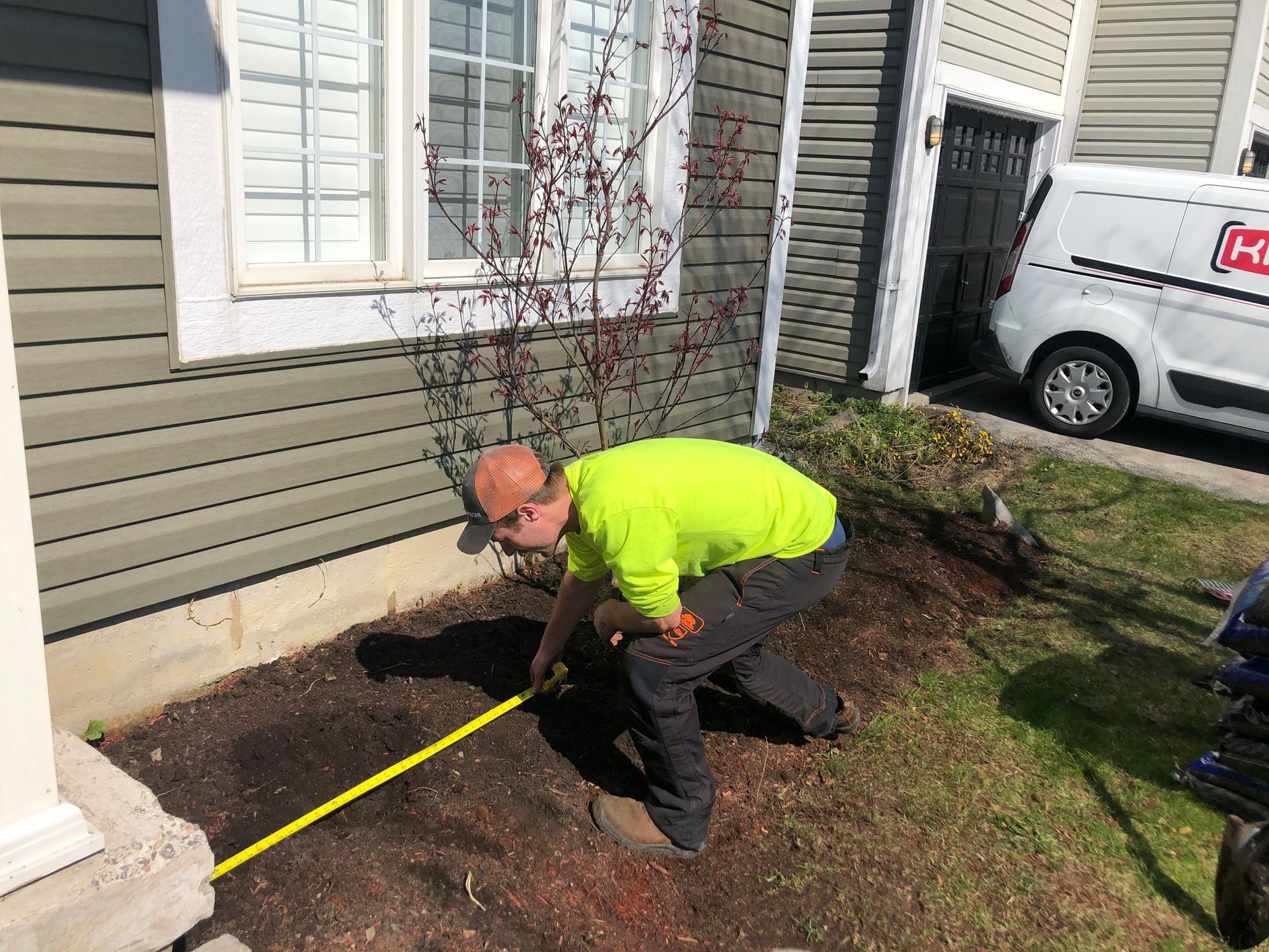 Assessing a tree removal with Arborcor