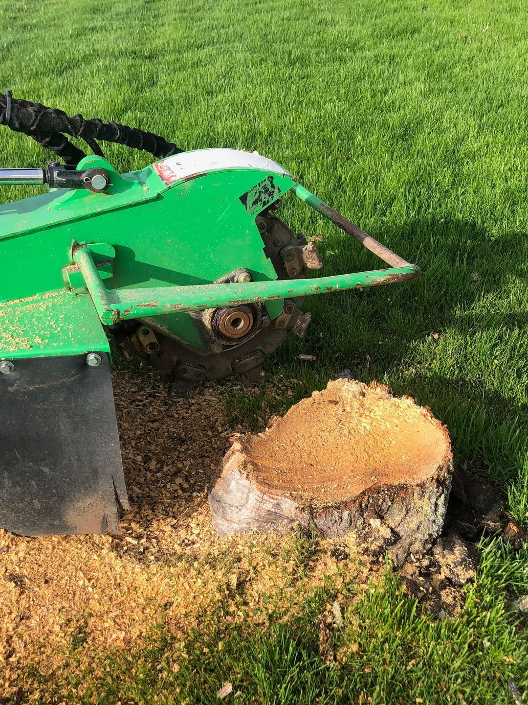 safe and effective stump grinding with Arborcor