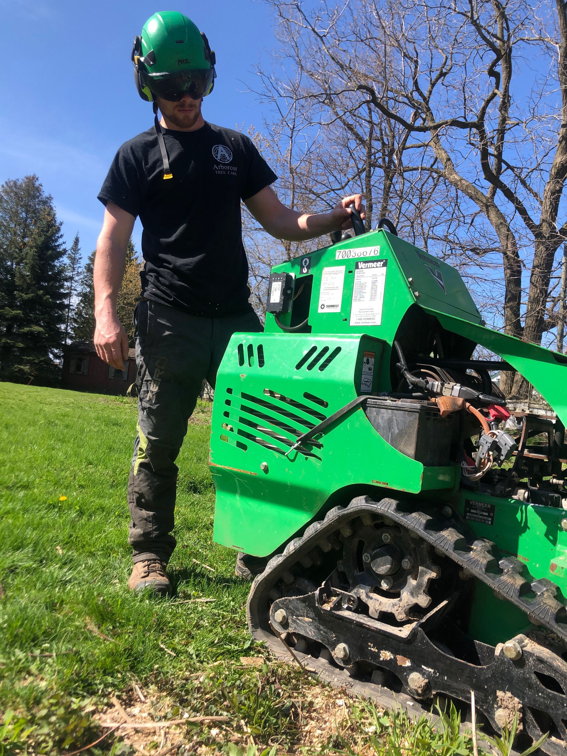 Stump grinding with Arborcor
