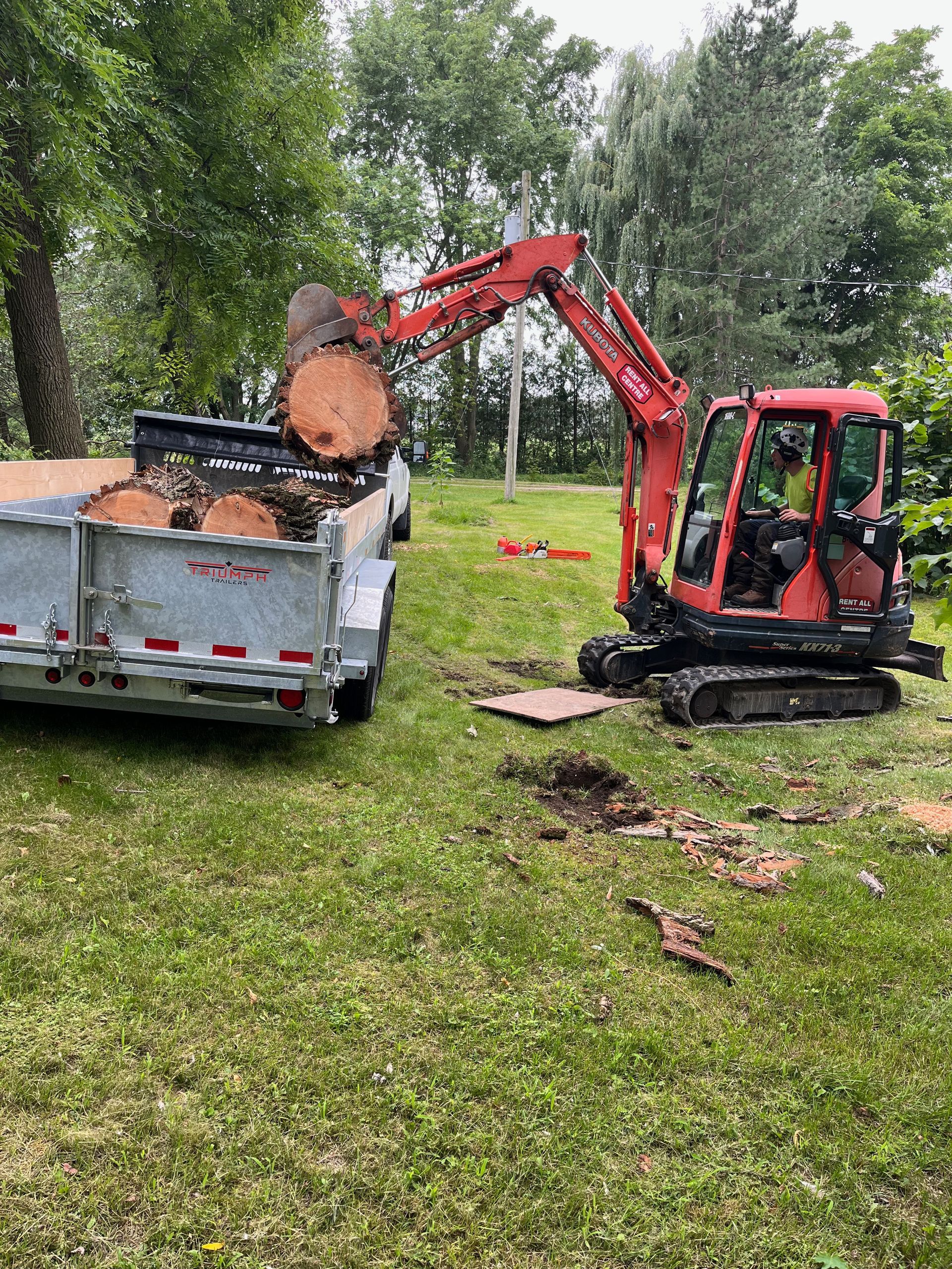 Tree cleanup with Arborcor