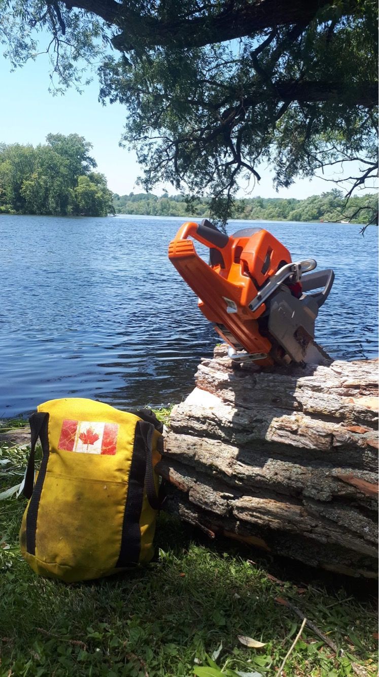 tree removal with Arborcor