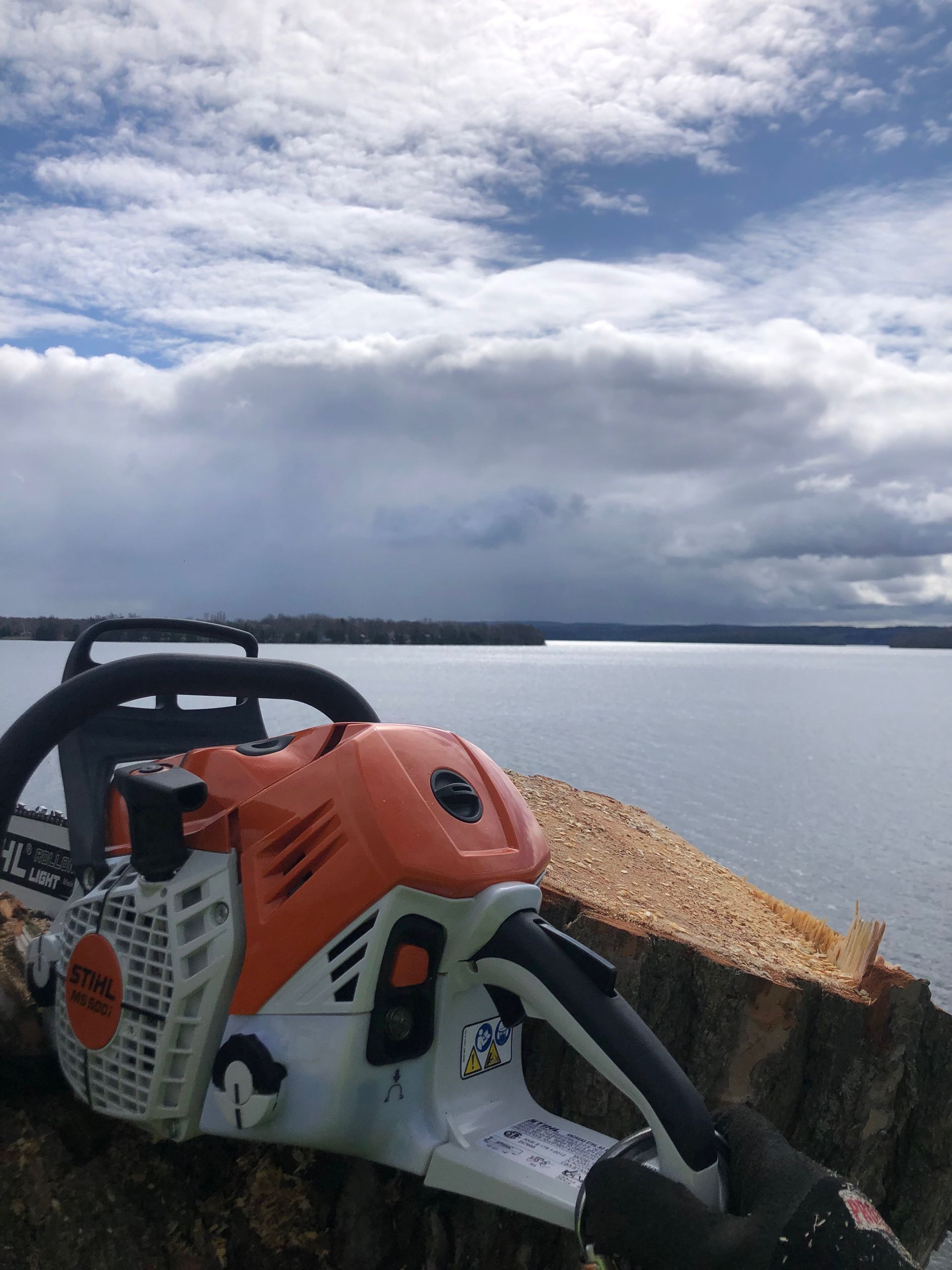 Stump Removal With Arborcor