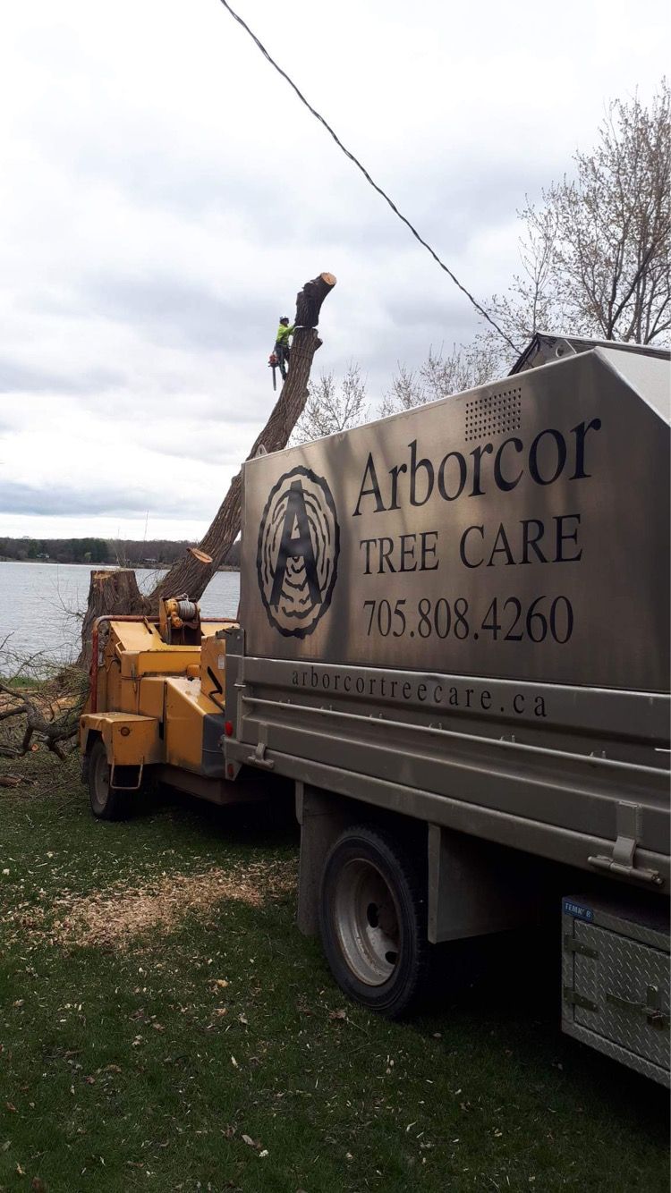 Arborcor Professional Arborists