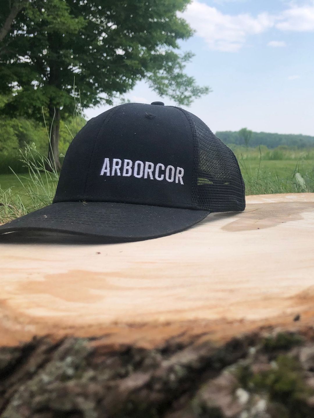 choose Arborcor Tree Care