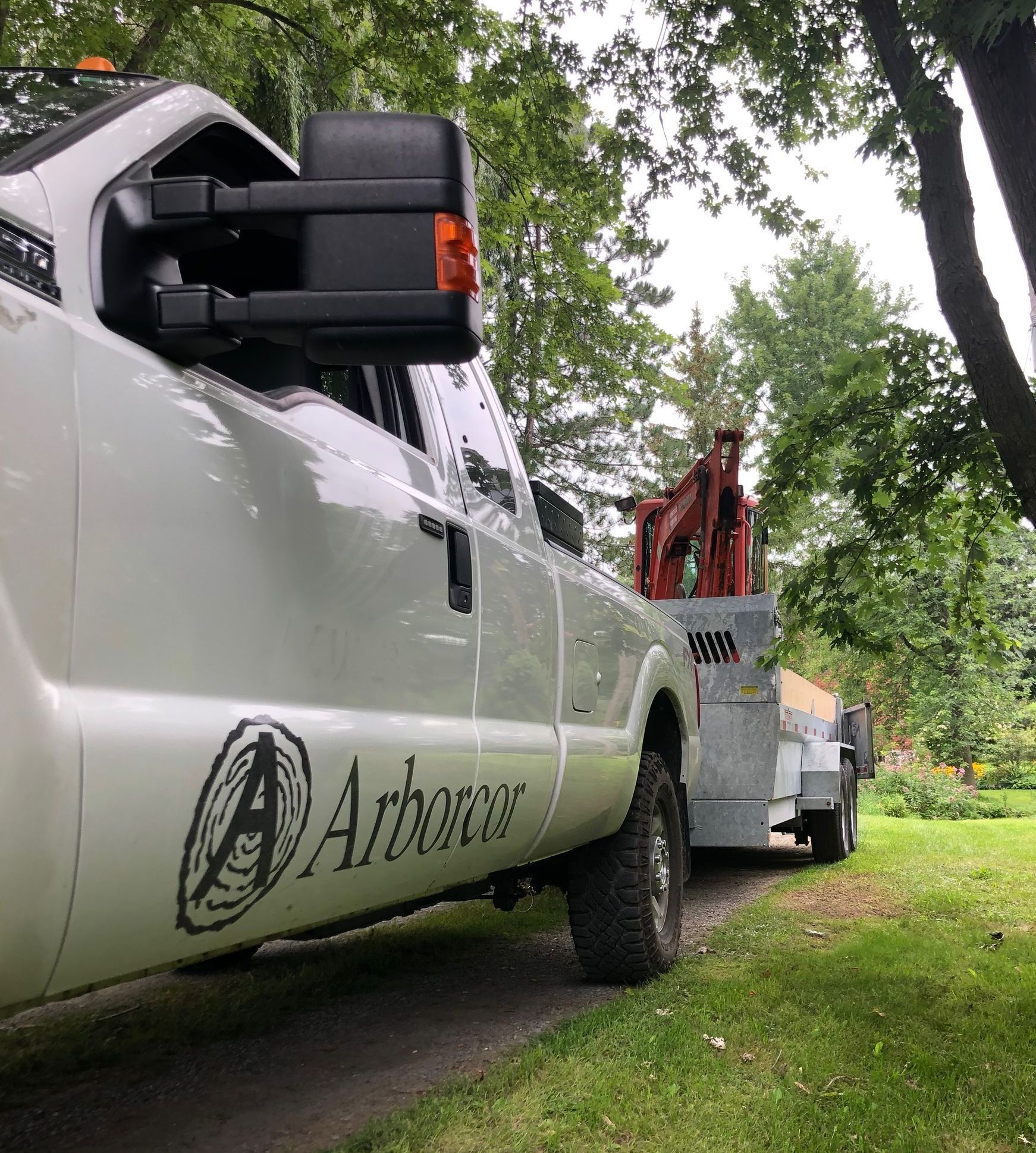 Arborcor tree care and tree trimming