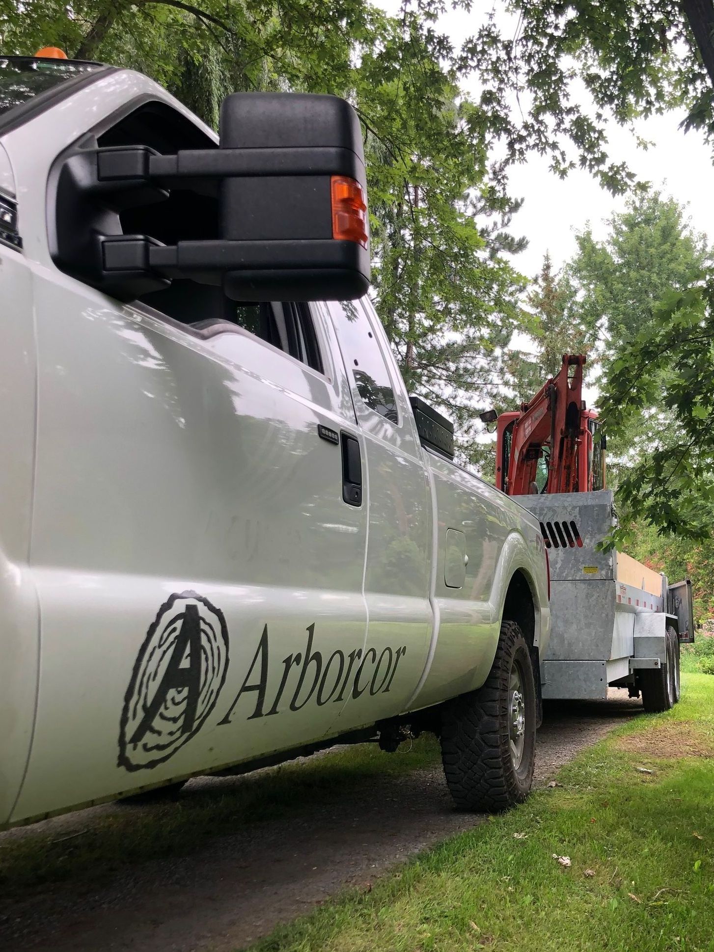 Choose Arborcor for your tree jobs