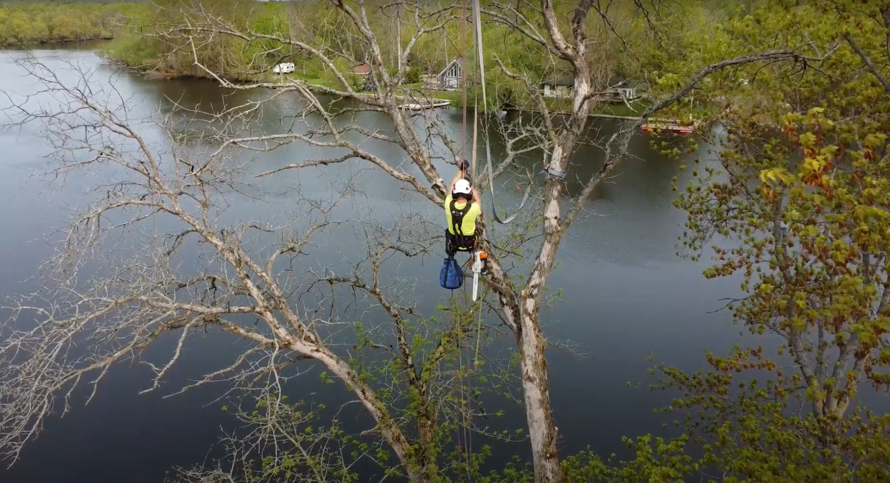 Emergency tree removal Arborcor