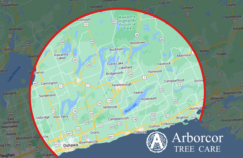 Arborcor's service area map