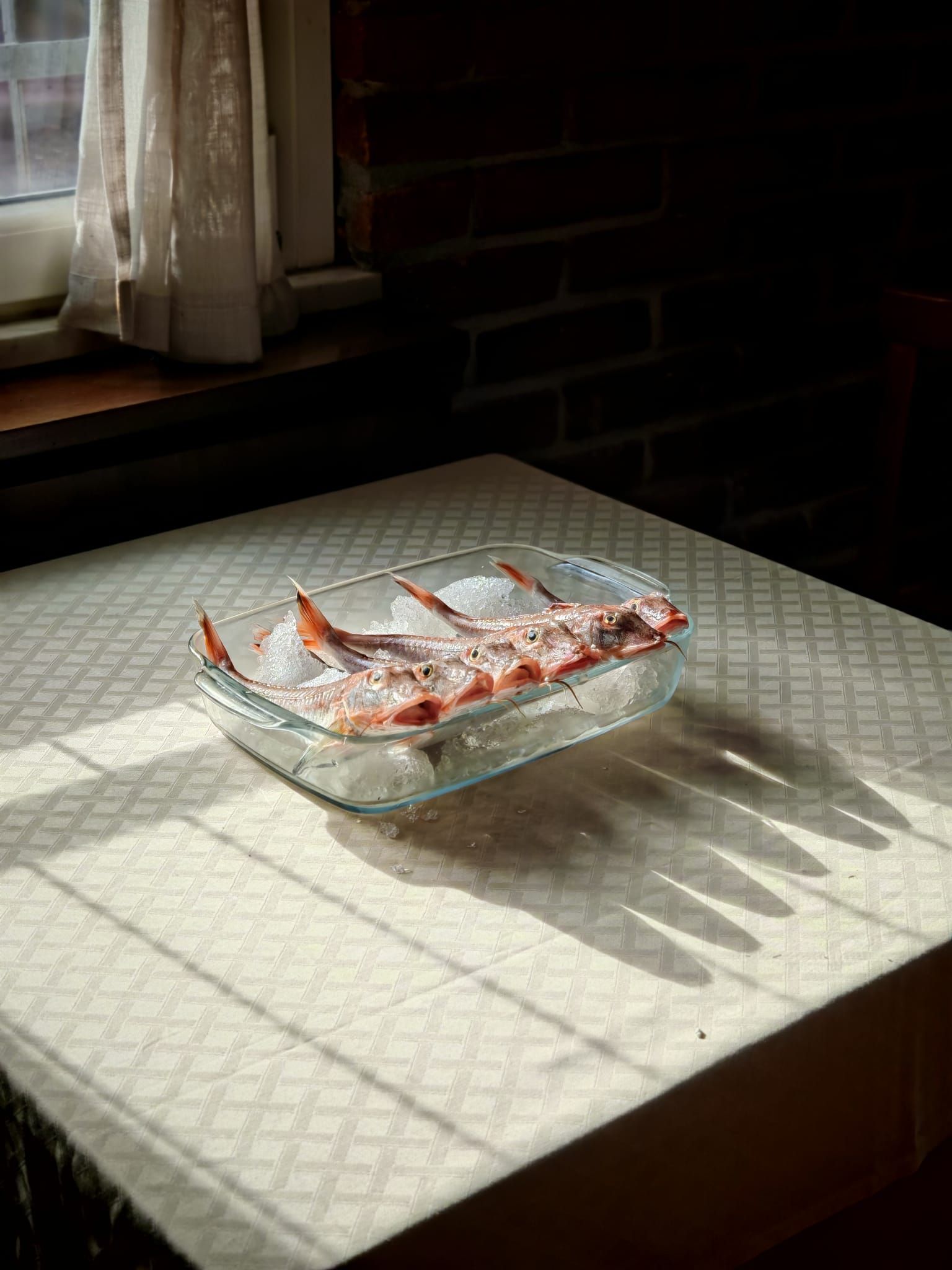 Costine crude in un piatto di vetro su un tavolo. La luce del sole proietta ombre.