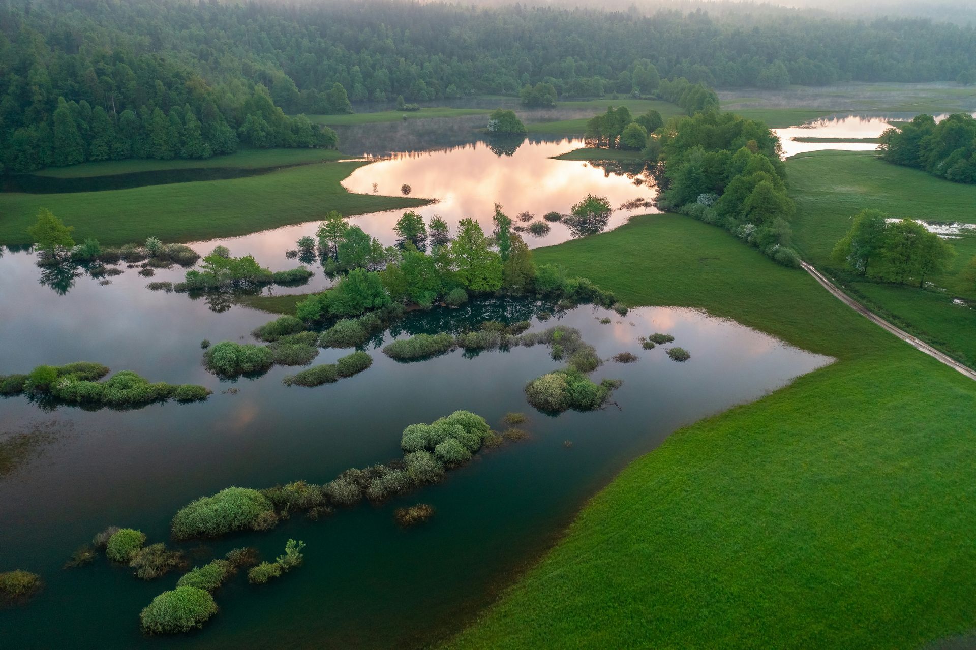 An aerial view of a lake surrounded by trees and grass