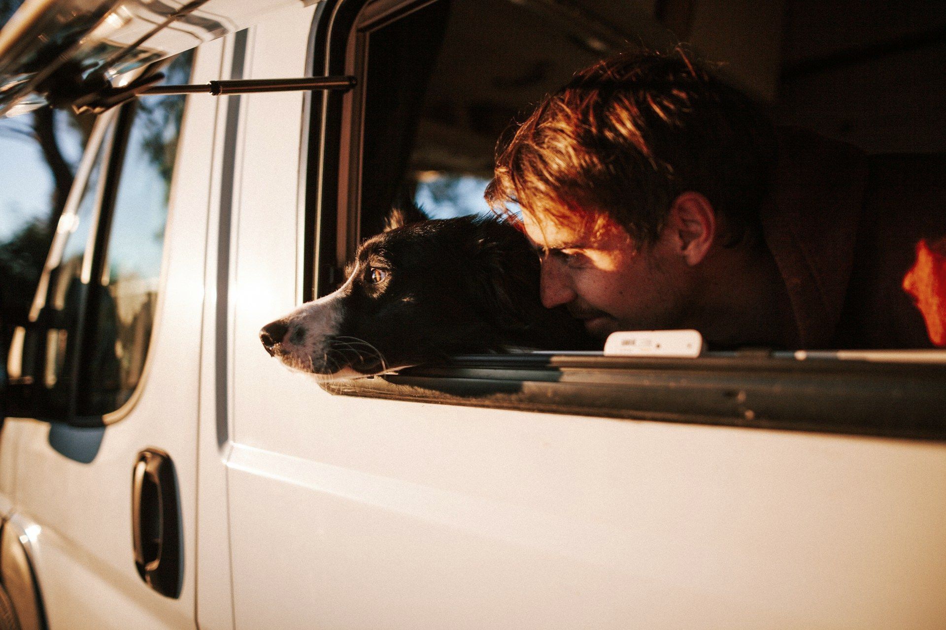 A man and his dog are looking out of a car window.