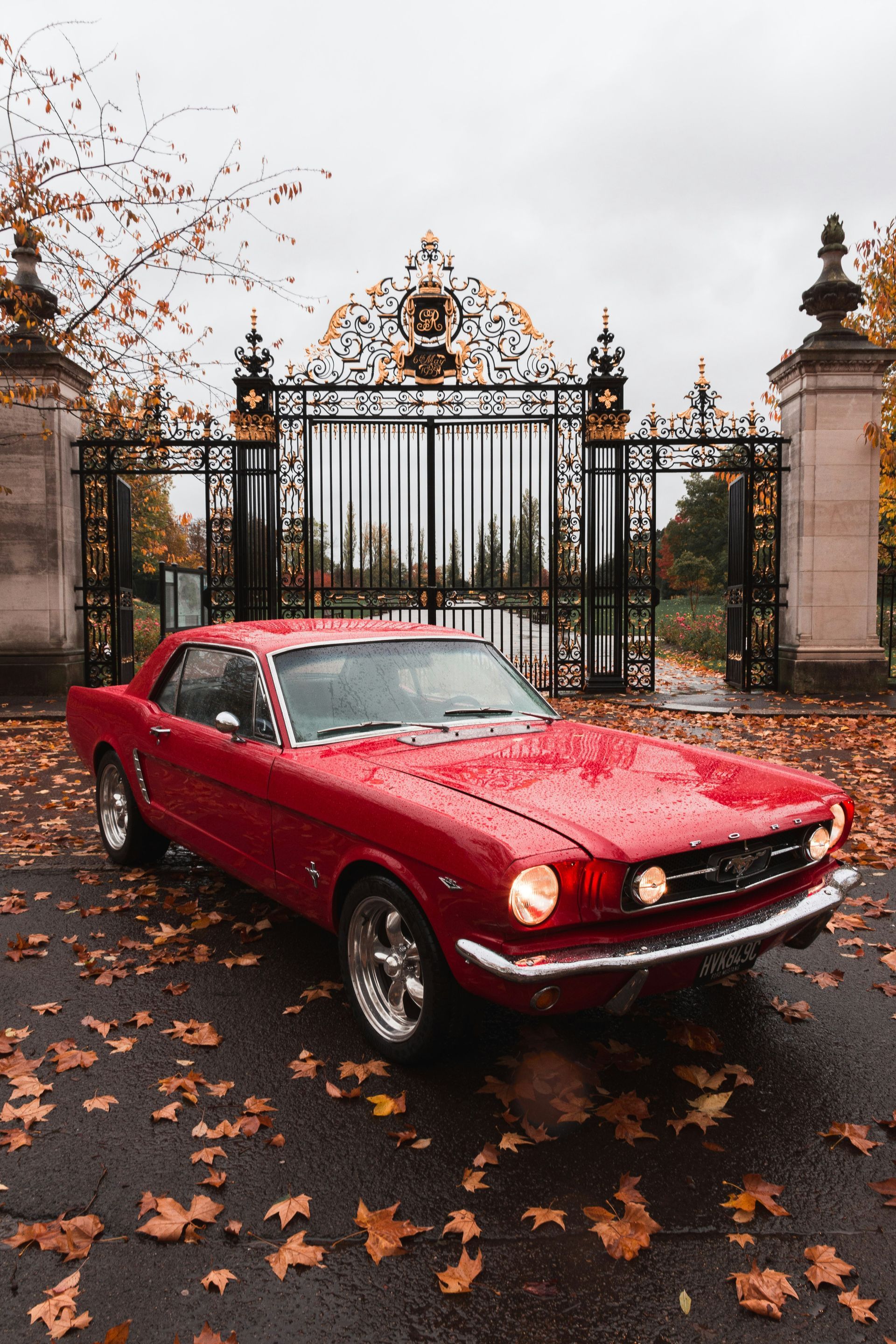 A red mustang is parked in front of a gate covered in leaves.