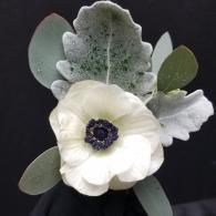 white anemone boutonniere 