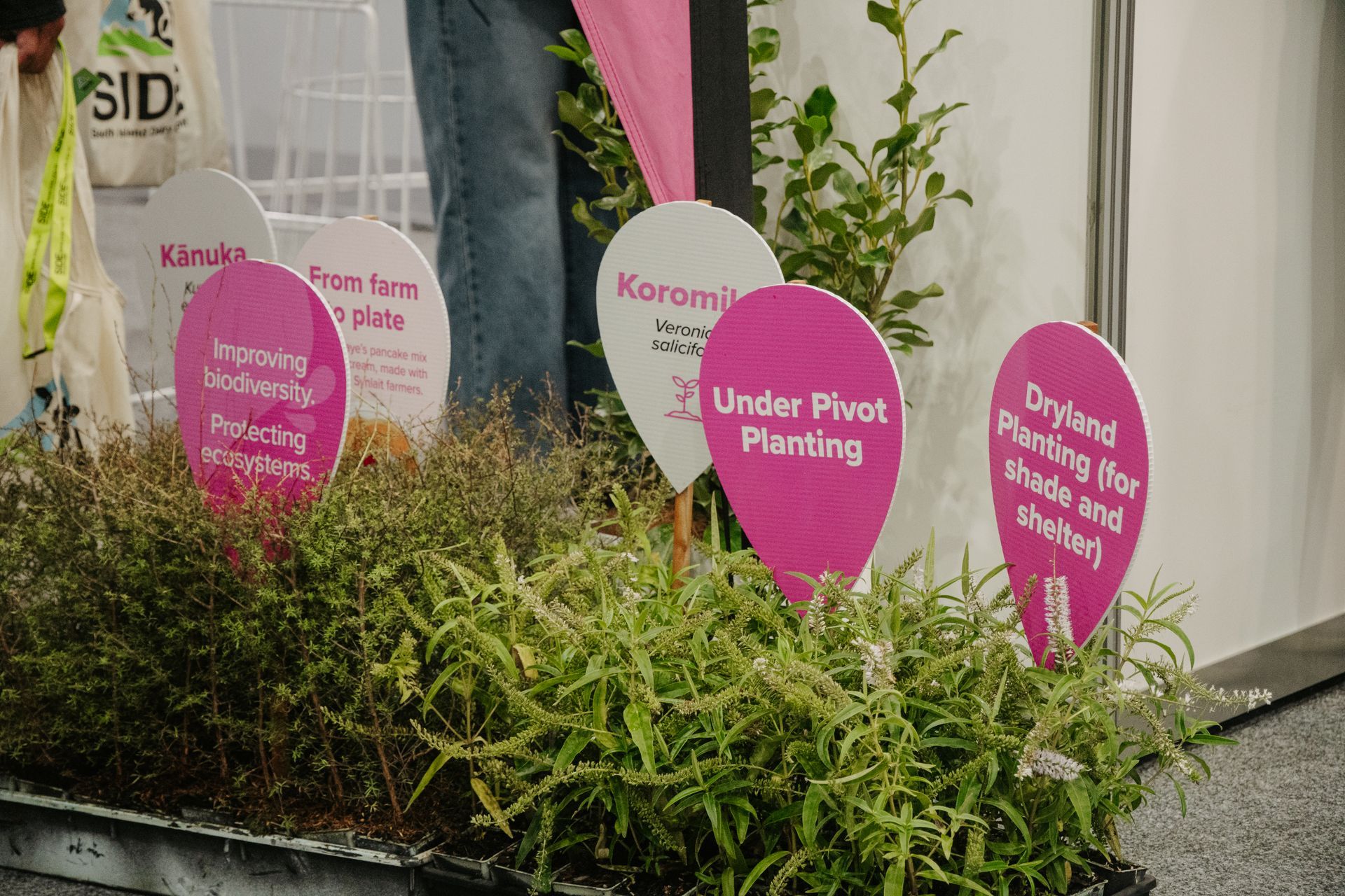 Pink signs in a planter box, with text labels for 