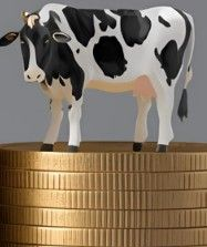 Peter Schouten, Pete Smit, & Jack Symes