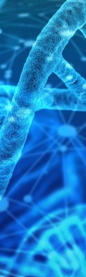 John Caradus, Linda Johnson, & Corrigan Sowman