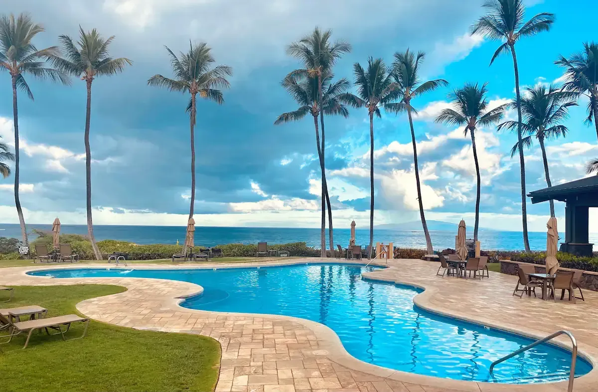 A large swimming pool surrounded by palm trees with a view of the ocean.