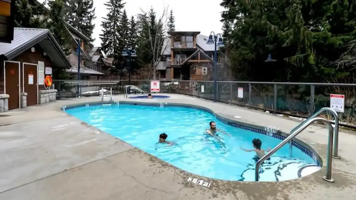 A group of people are swimming in a large swimming pool.