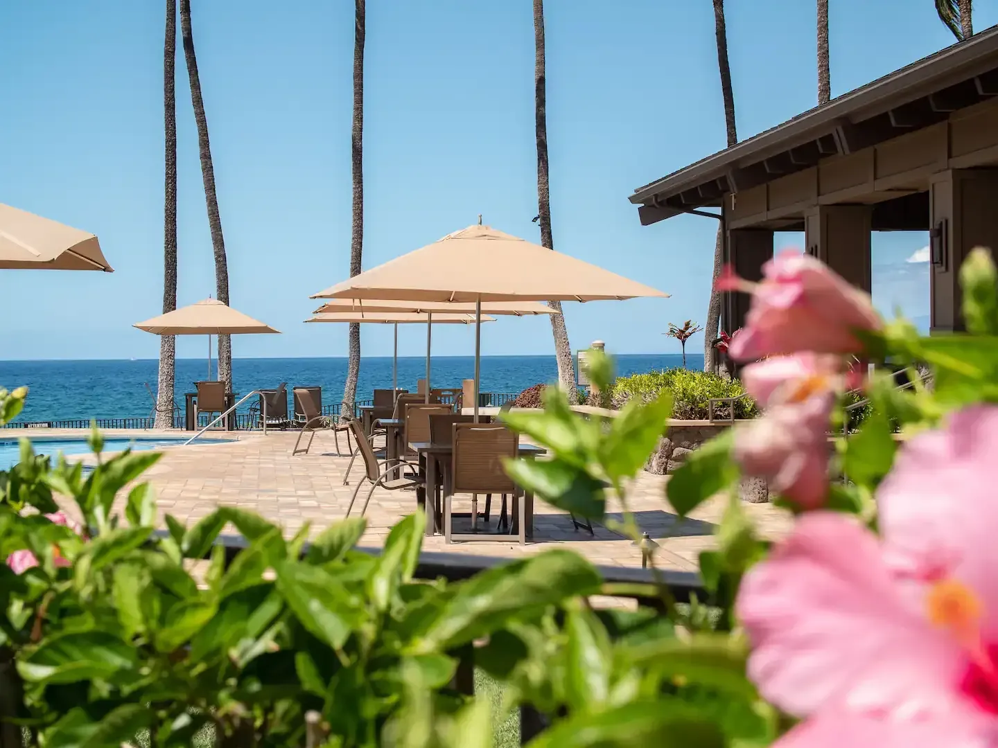 A swimming pool with umbrellas and chairs next to the ocean.