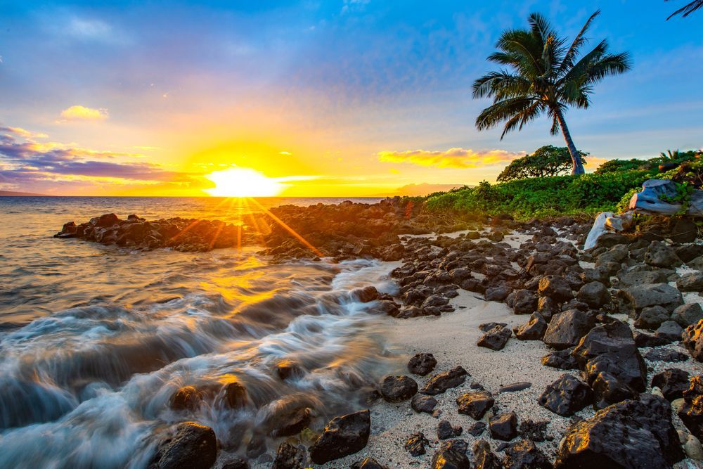 A sunset over a rocky beach with a palm tree in the foreground.