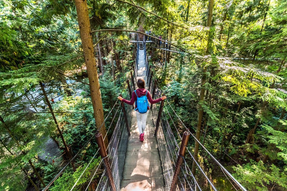 A woman is walking across a suspension bridge in the woods.