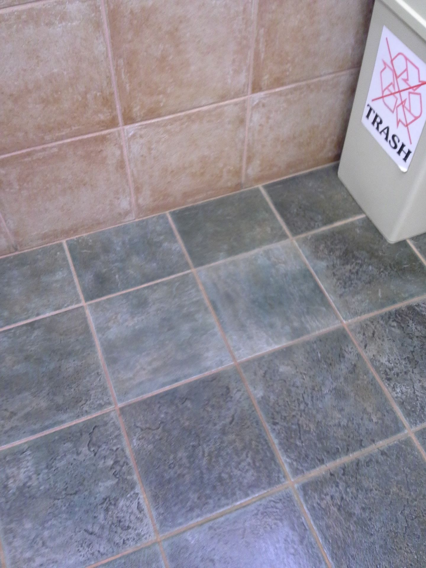 professional floor cleaning