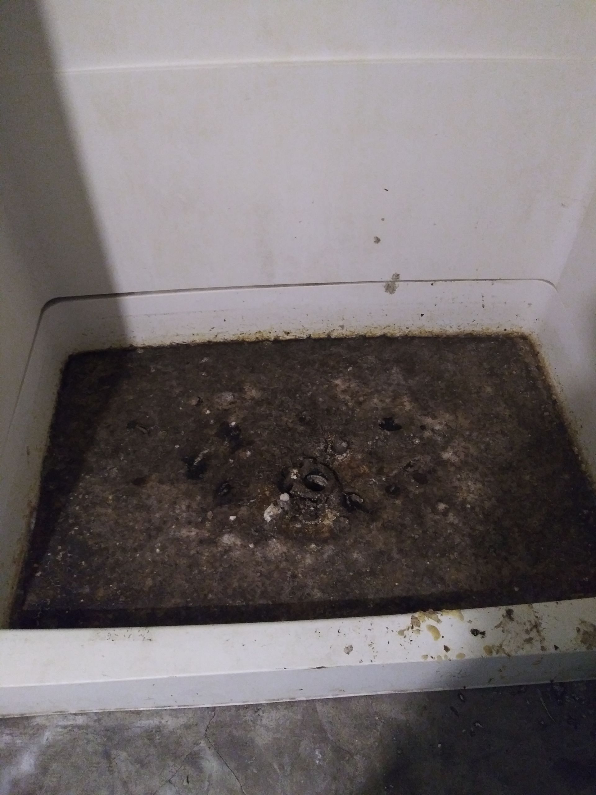 dirty bathtub before cleaning