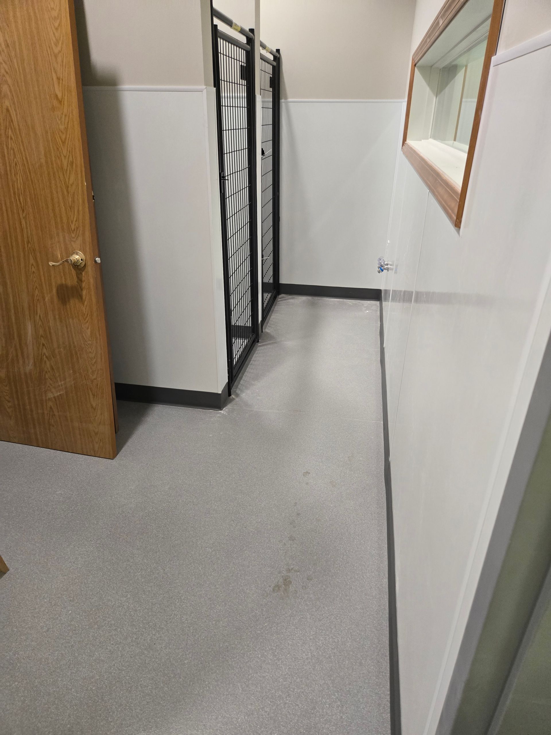 Narrow hallway with a door, black metal dividers, and a window.