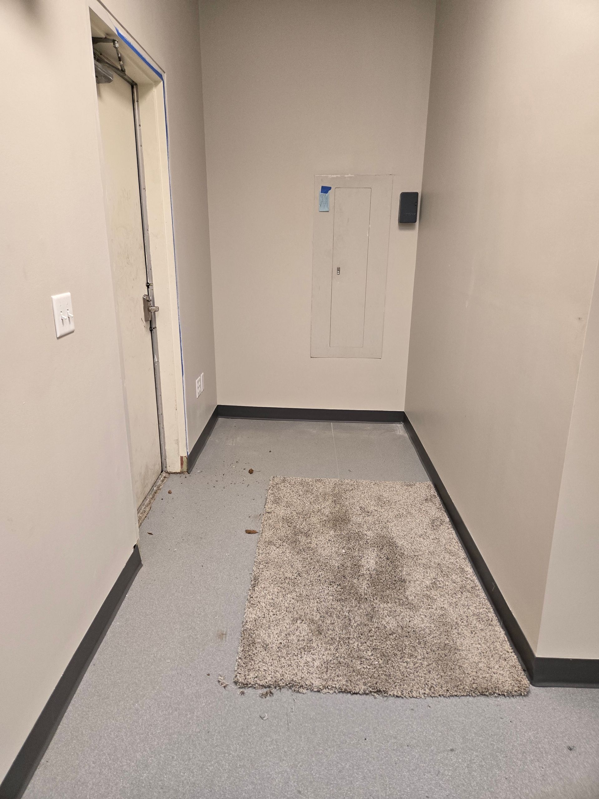 Narrow hallway with grey speckled floor, white walls, rug, and closed door.