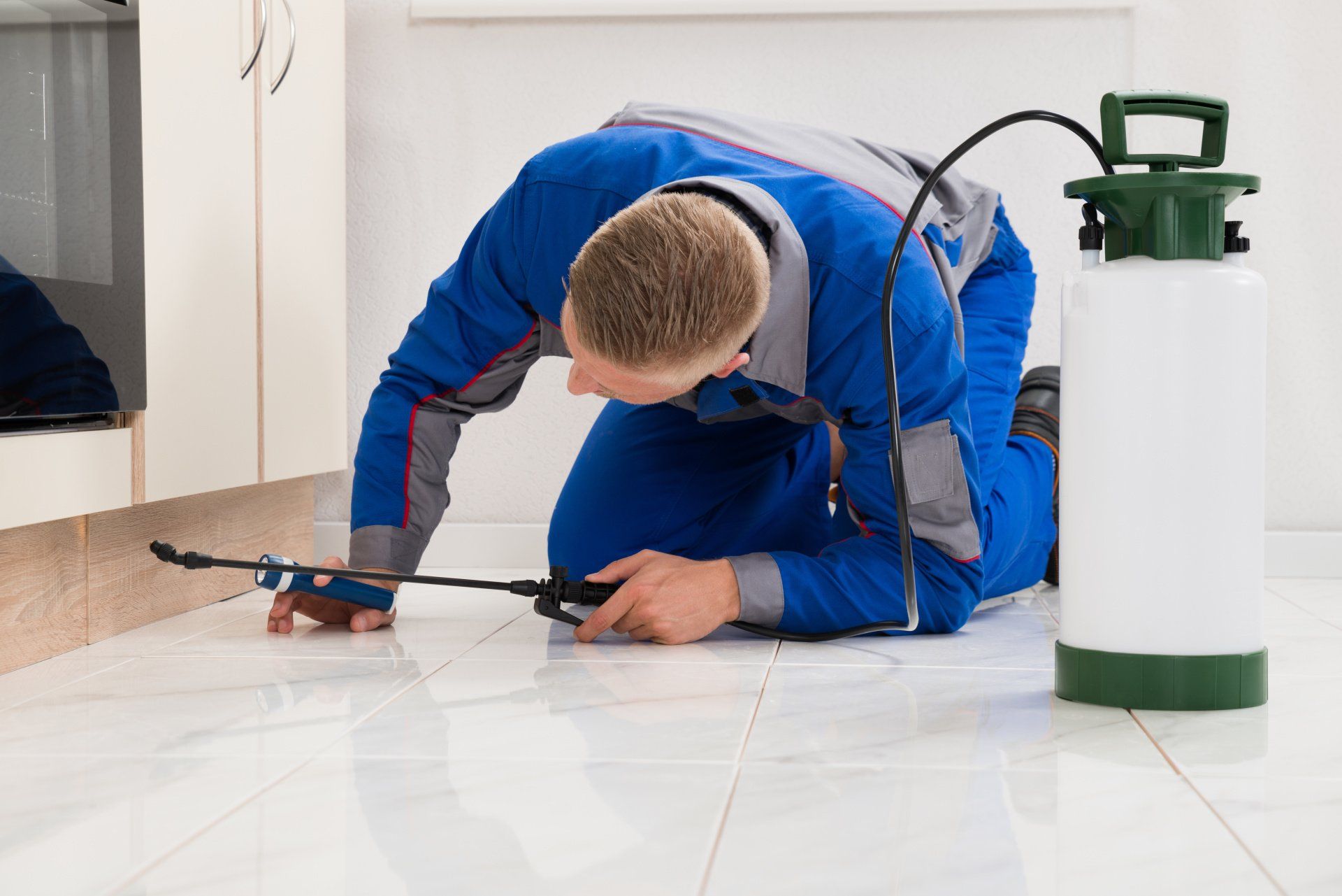 A man is kneeling on the floor using a spray bottle to spray a rat.