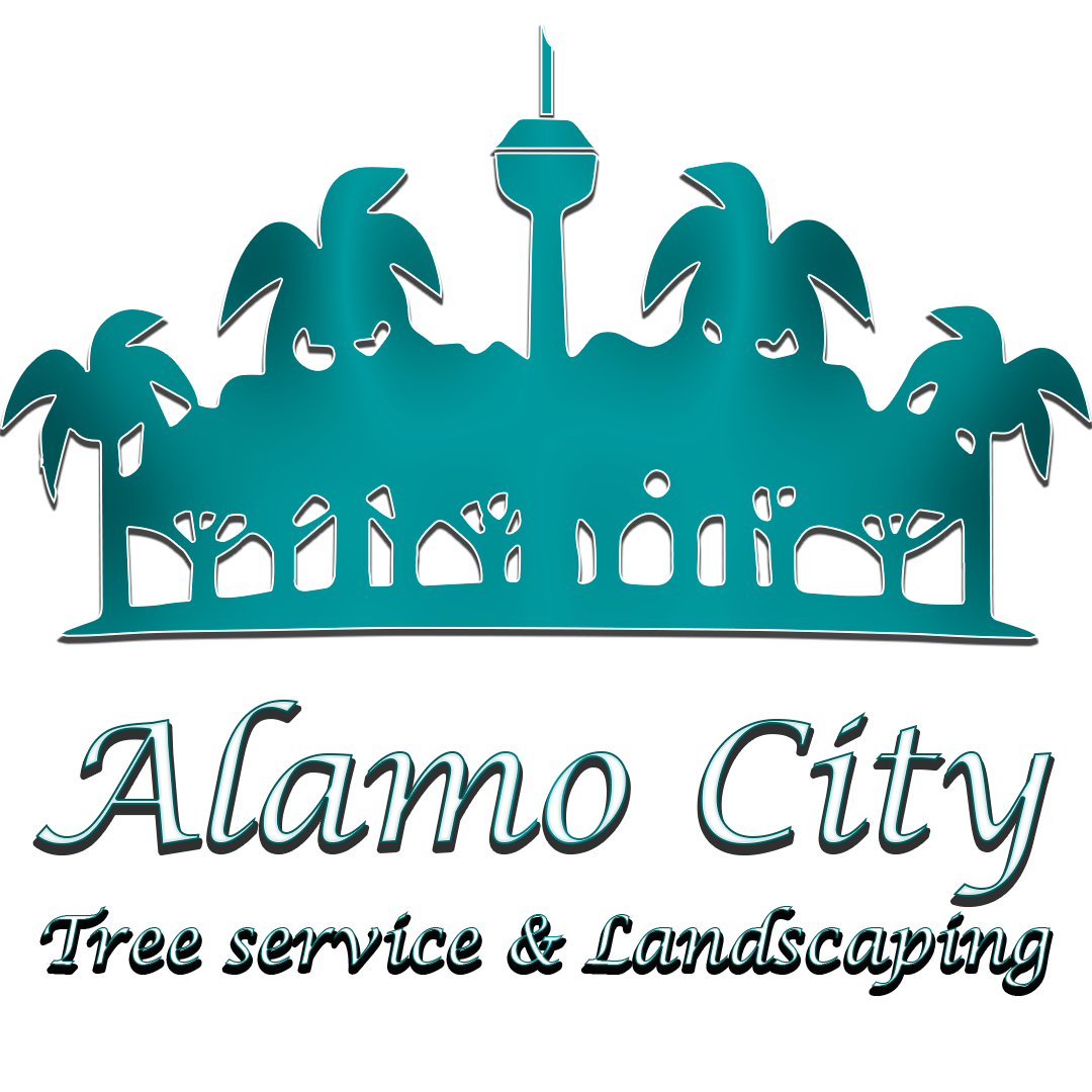 top-rated-landscape-design-company-in-san-antonio-new-braunfels