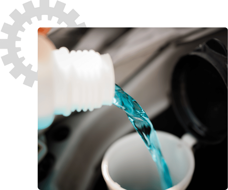 Fluid & Filter Care for Long-Term Health