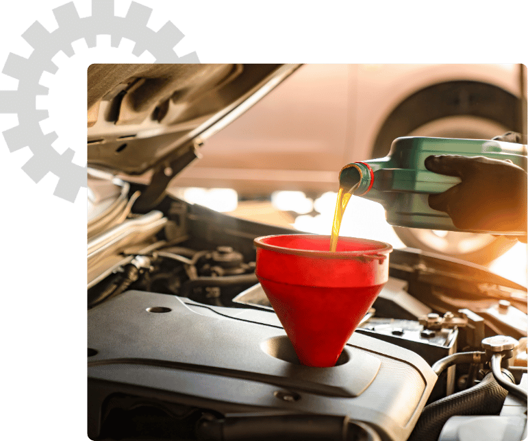 Routine Oil Change & Fluid Maintenance