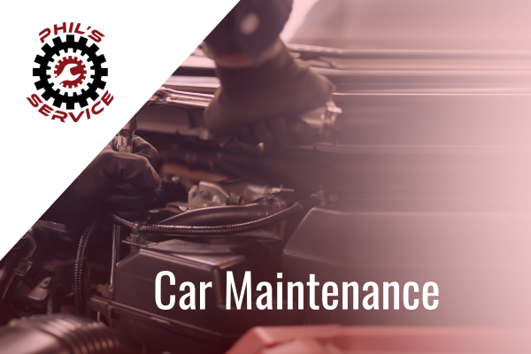 What does vehicle maintenance consists of?