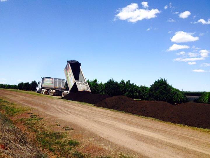 Truck Unloading Soil — Soil Conditioning in Alloway, QLD