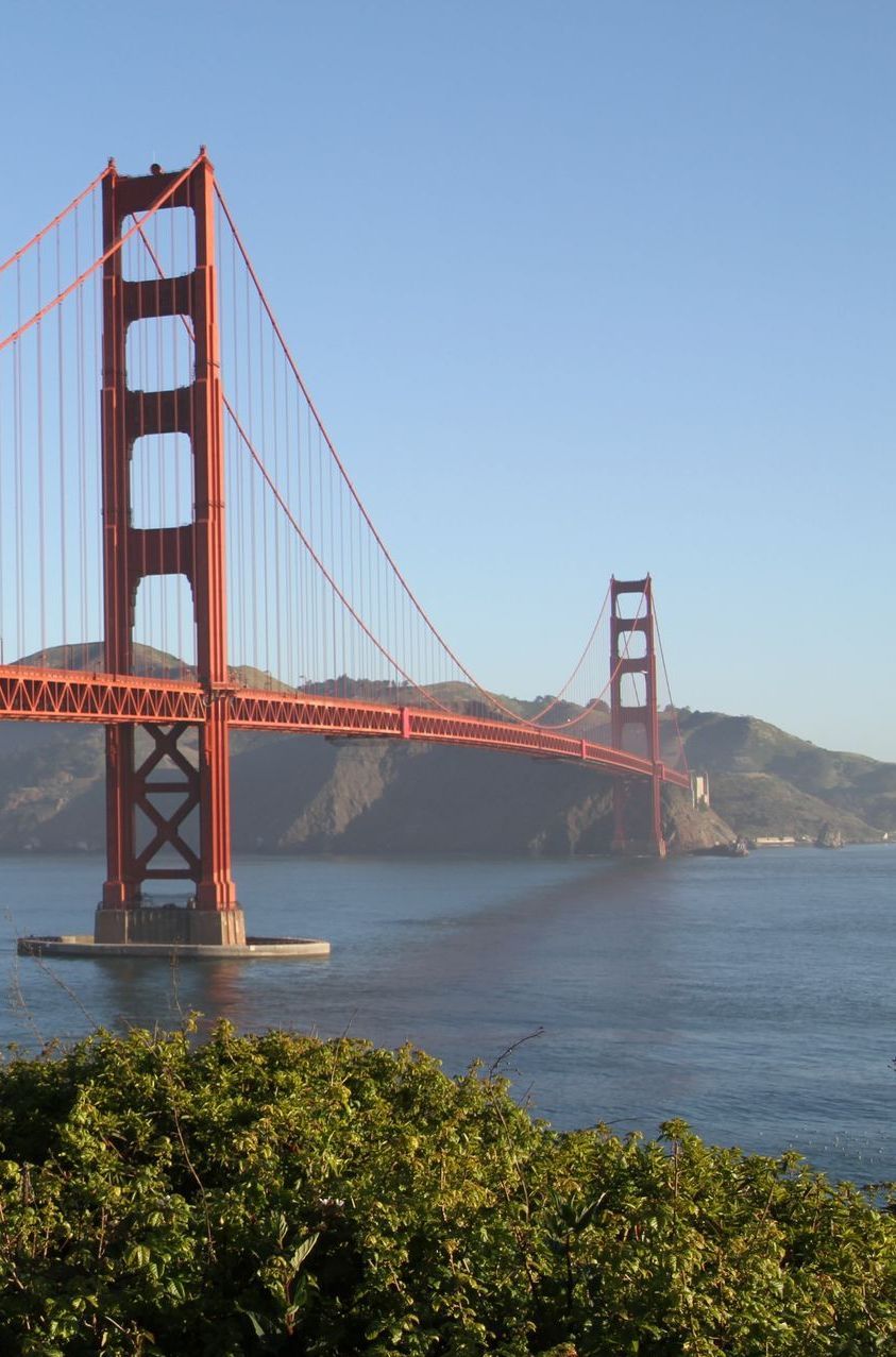 A bridge over a body of water with trees in the foreground