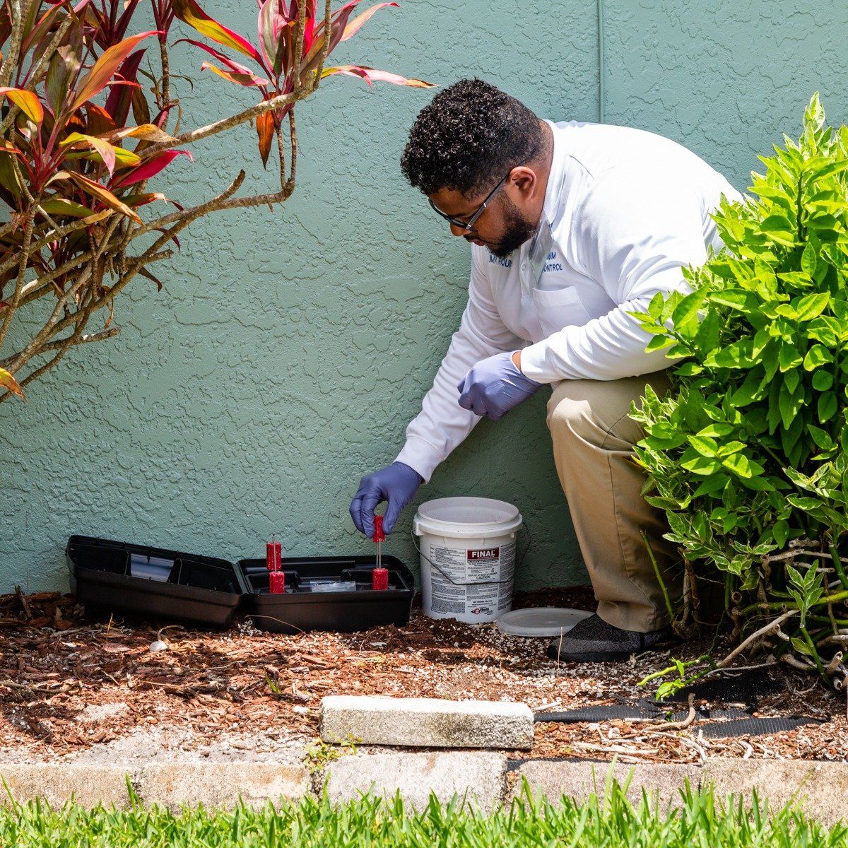 Pest Control – Melbourne, FL –  Premium Pest Control