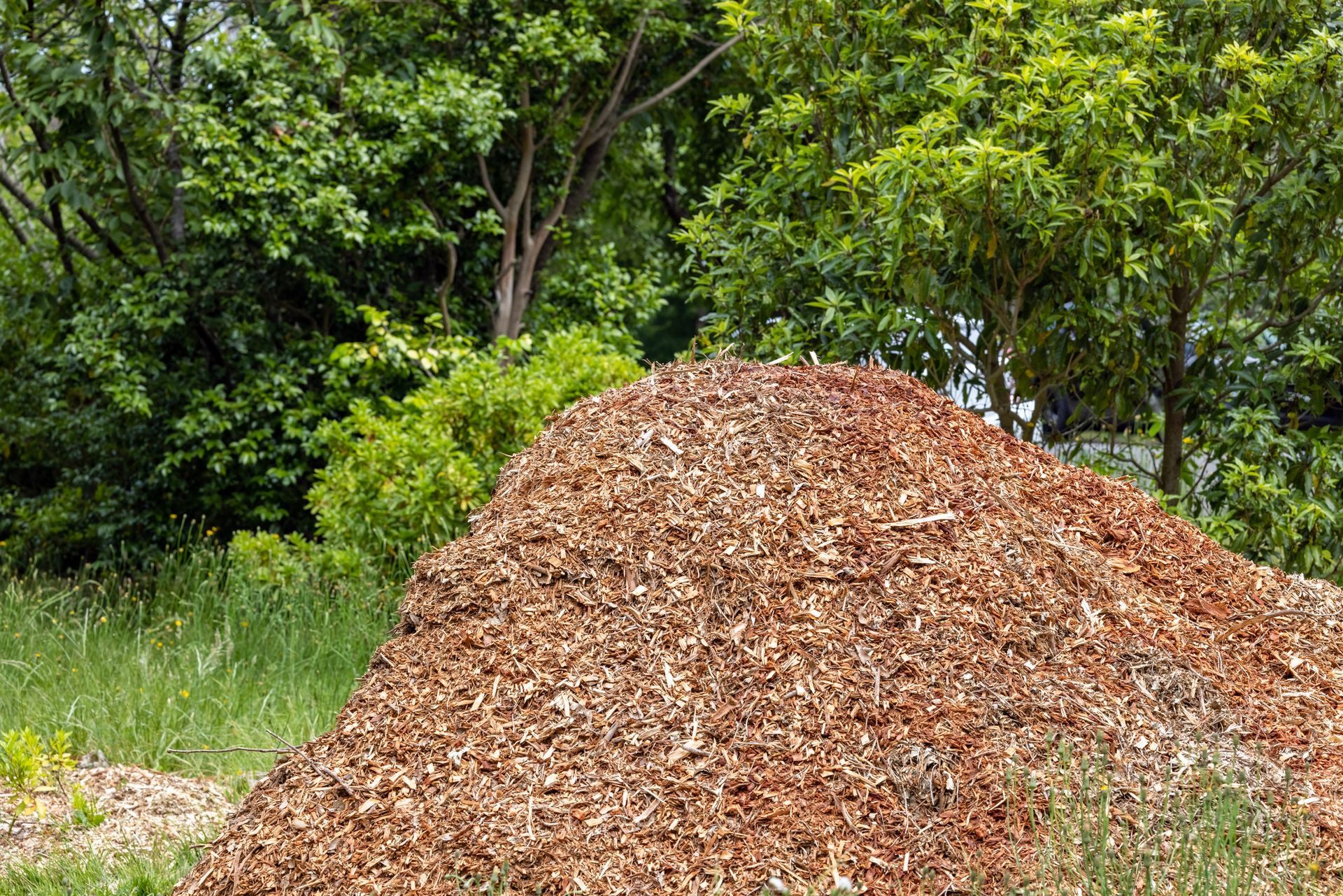 Pile Of Mulch — Stratford, VIC — Regal Trees Pty Ltd
