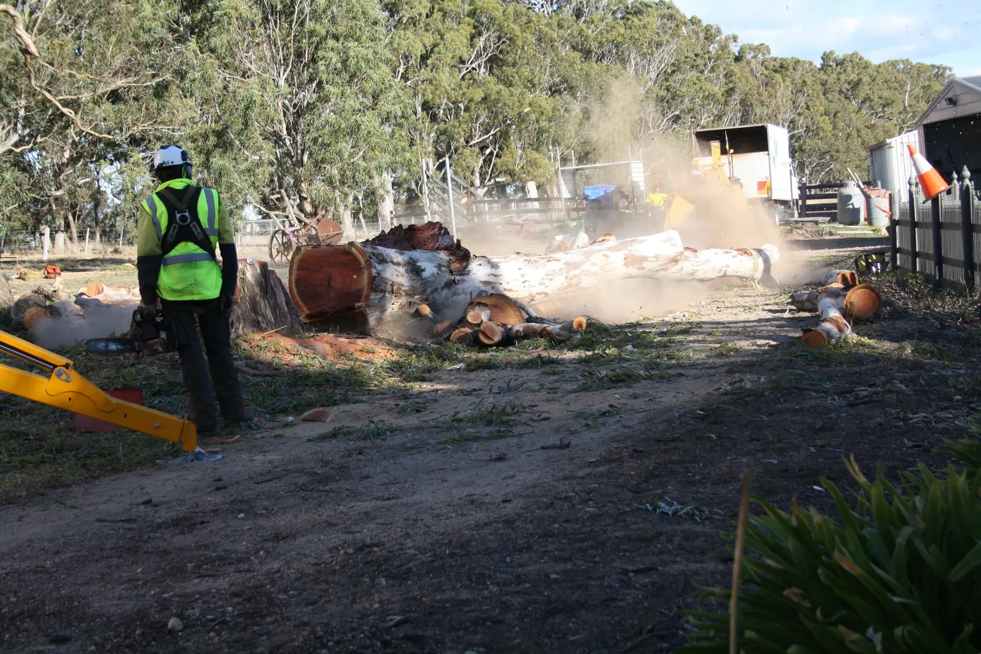Close Up View Tree Stump — Stratford, VIC — Regal Trees Pty Ltd