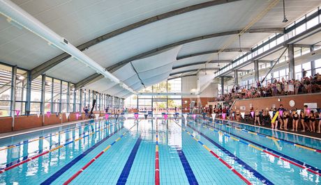 A large indoor swimming pool with stairs leading to it.