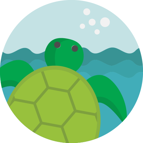 Green sea turtle swimming in blue water, with bubbles and a light blue sky.